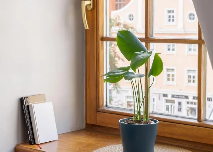 Apartment Old Town Gem - Rooftop - By Innorental *