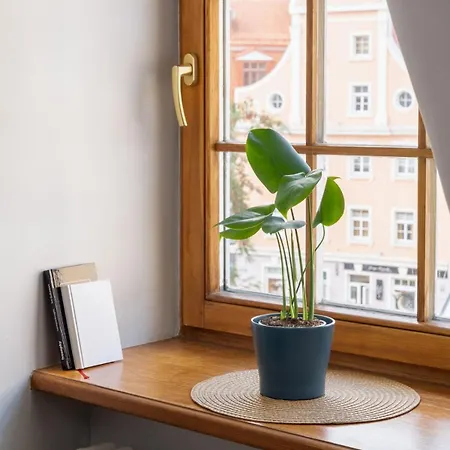 Apartamento Old Town Gem - Rooftop - By Innorental *